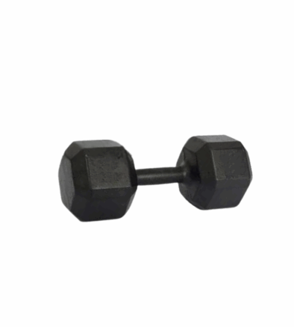 Halter Sextavado Maciço Pintado POSEIDON FITNESS®