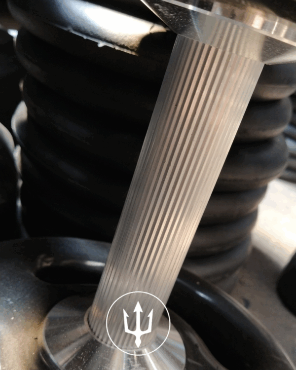 Dumbbell Montado Pintado Pegada Cromada POSEIDON FITNESS® 
